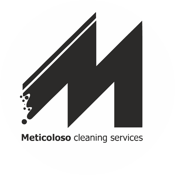 Meticoloso Services